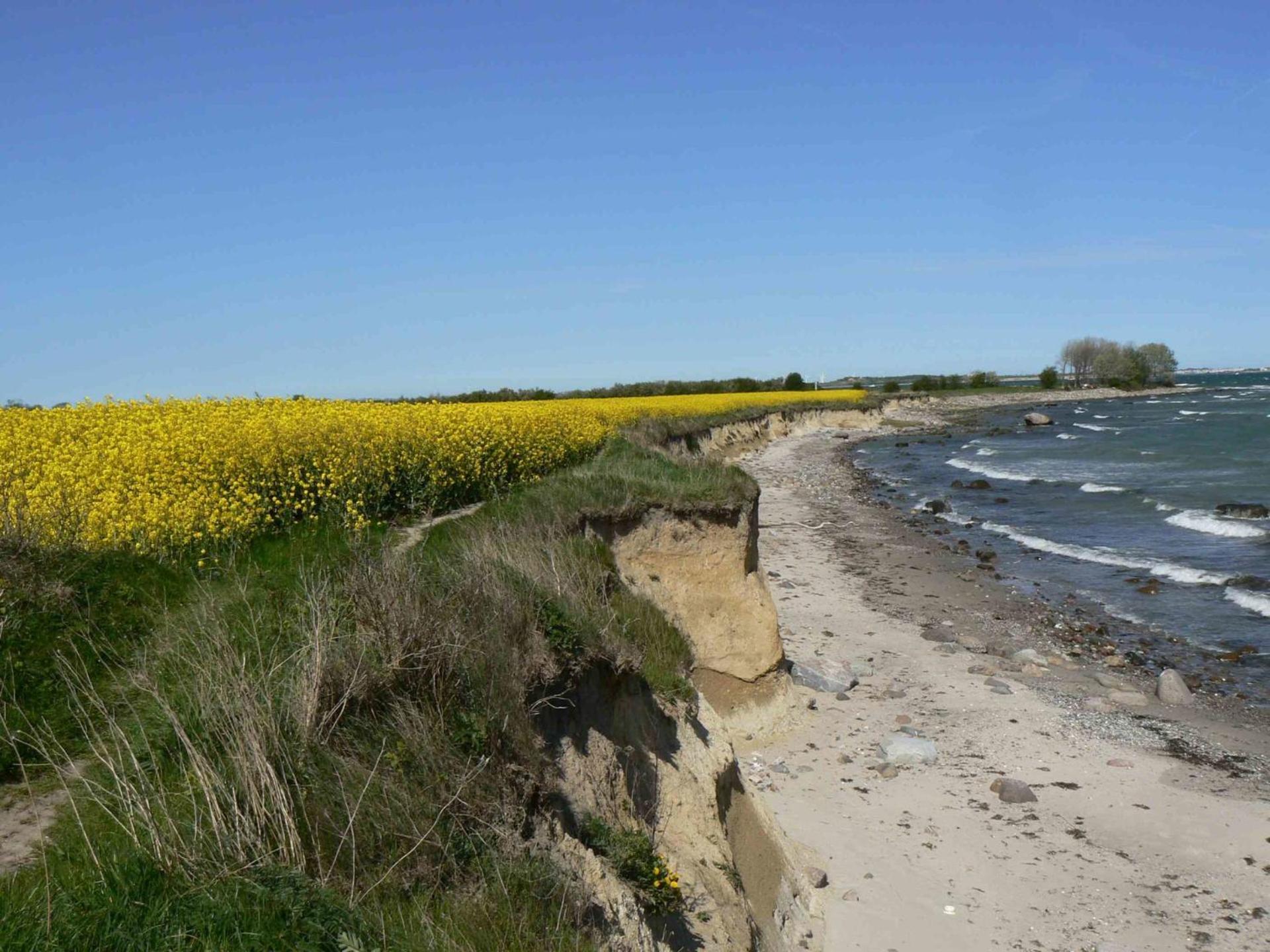 Strandperle 2 - Großenbrode Buitenkant foto